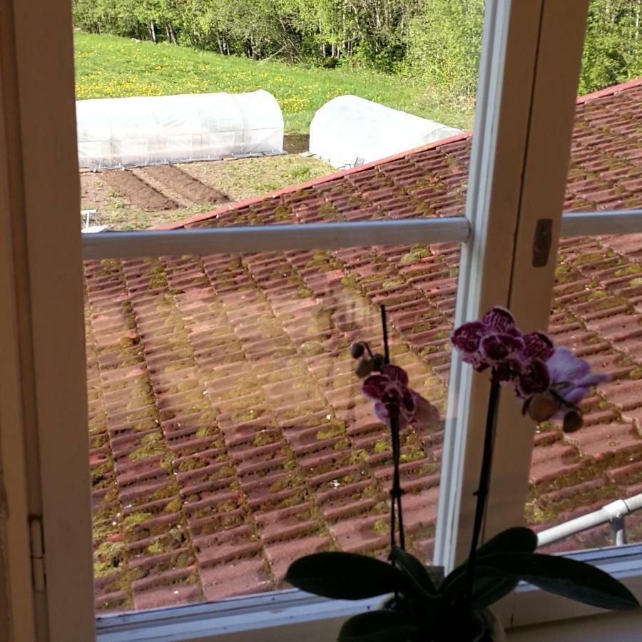 לקסנד Sjugare Gard Bed & Breakfast מראה חיצוני תמונה
